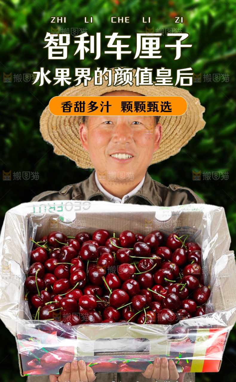 车厘子详情页