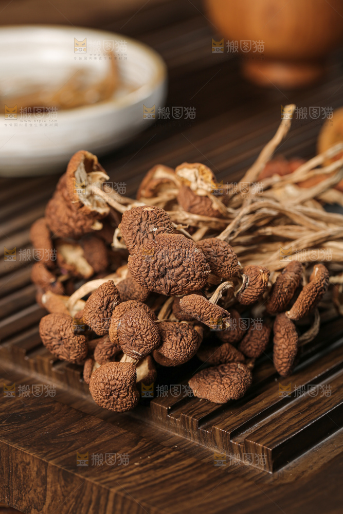 茶树菇