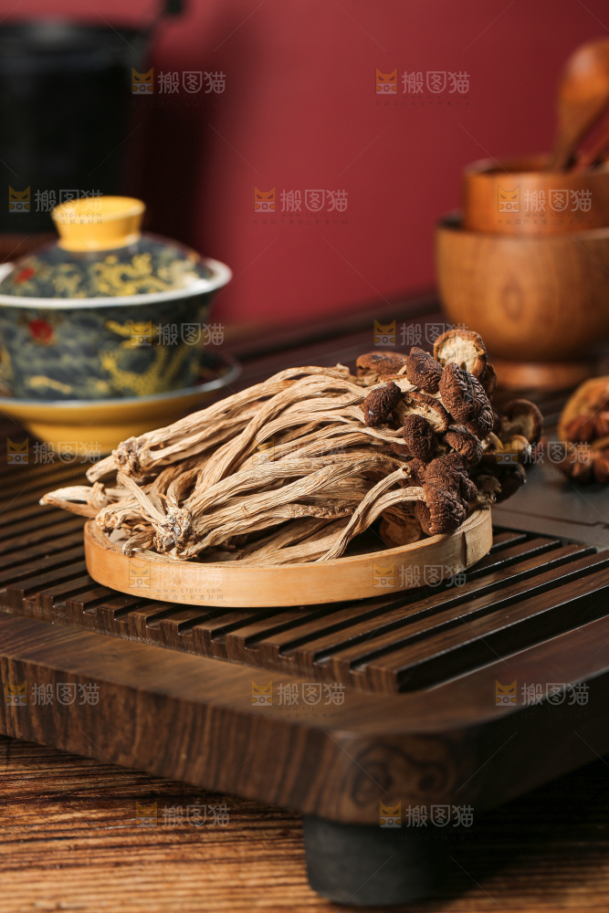 茶树菇