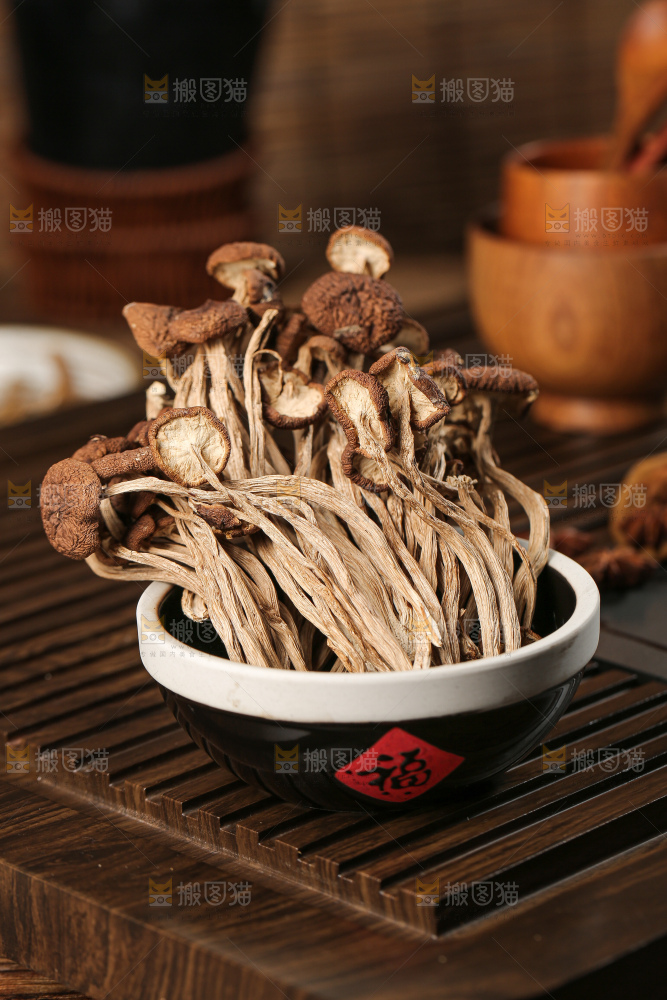 茶树菇