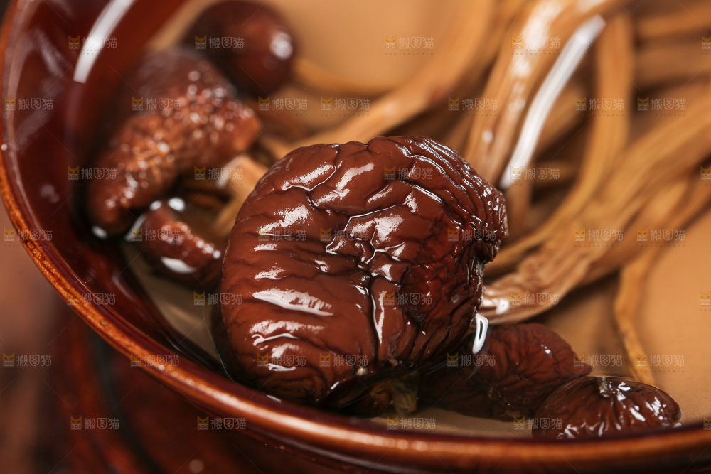 茶树菇