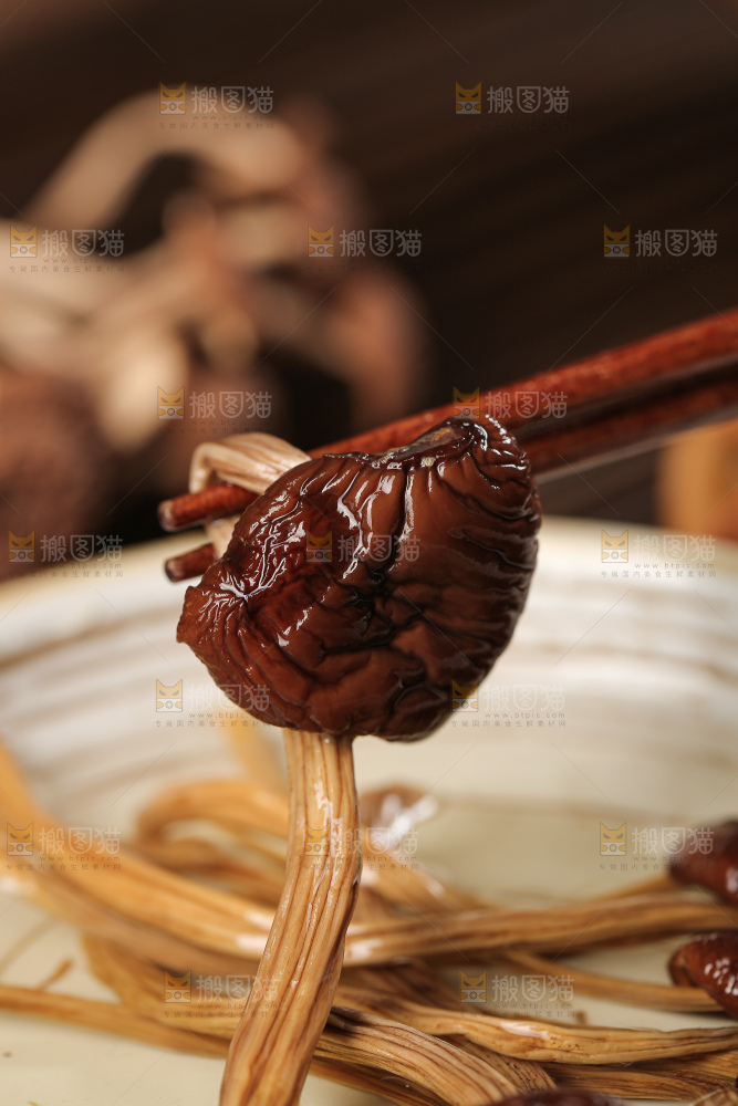 茶树菇
