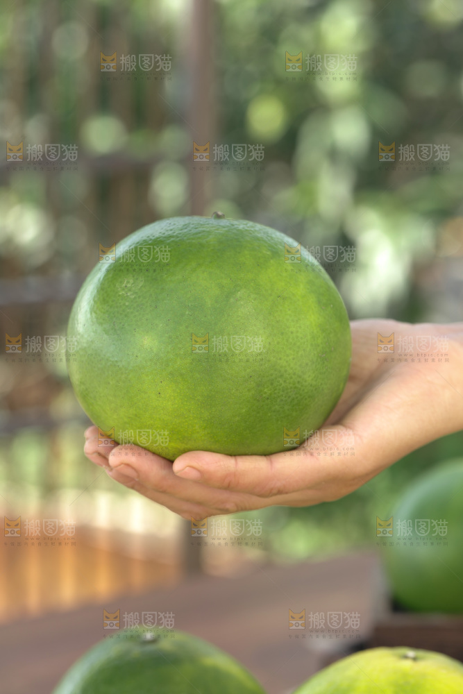 翡翠葡萄柚