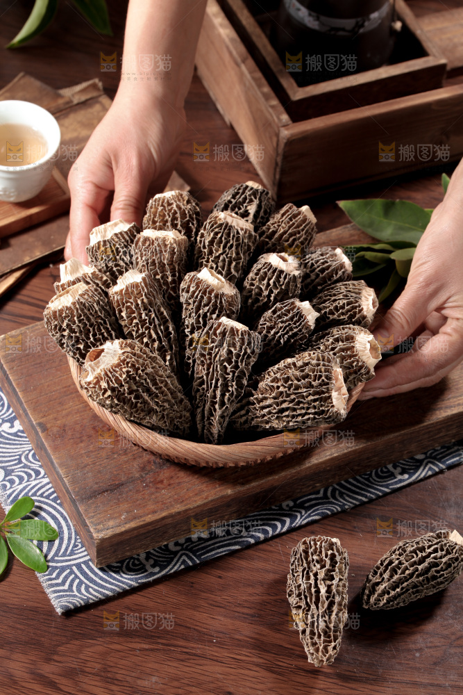 羊肚菌
