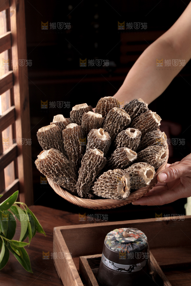 羊肚菌