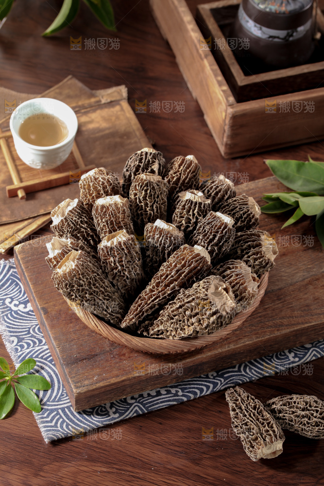 羊肚菌