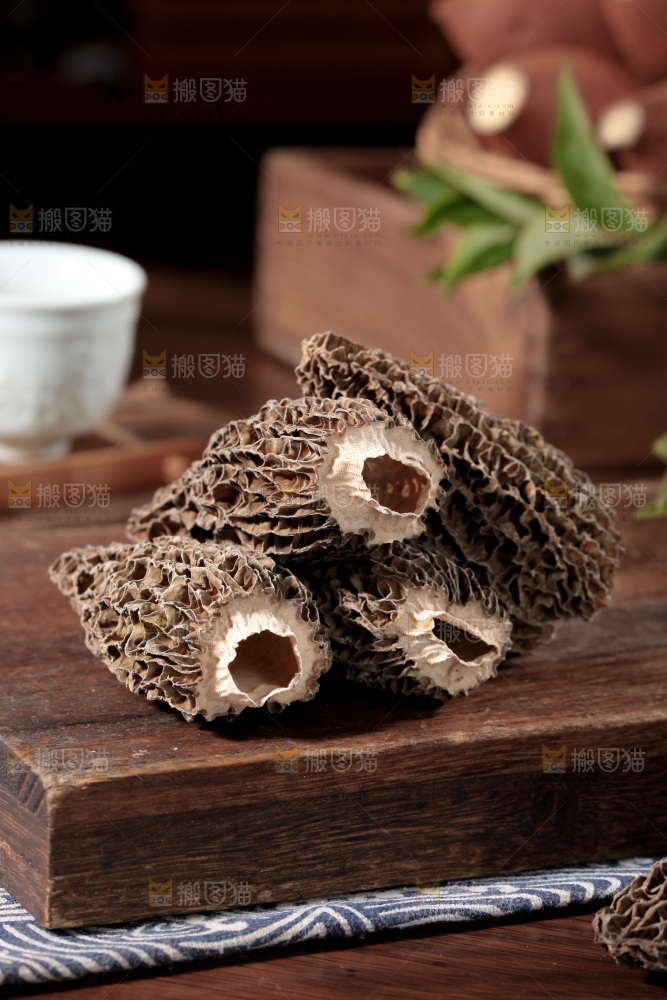 羊肚菌
