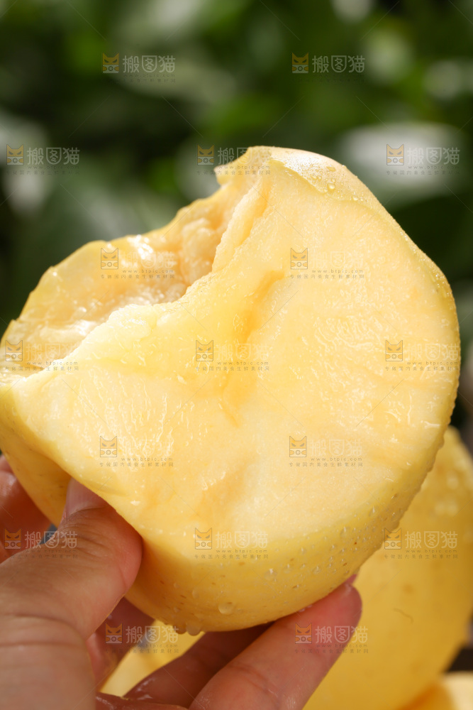 维纳斯苹果