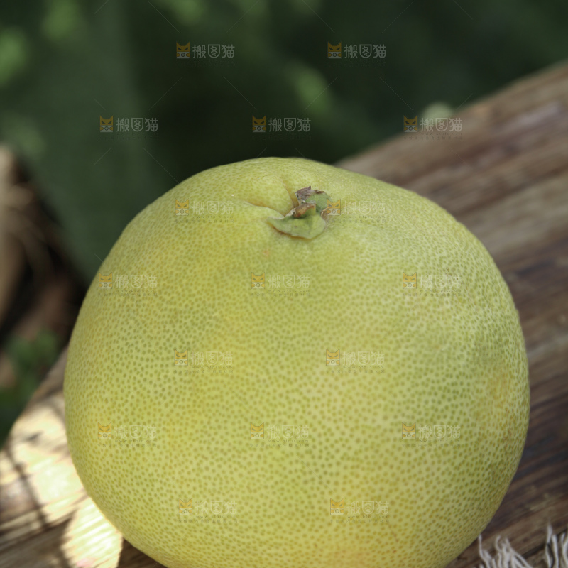 文旦柚