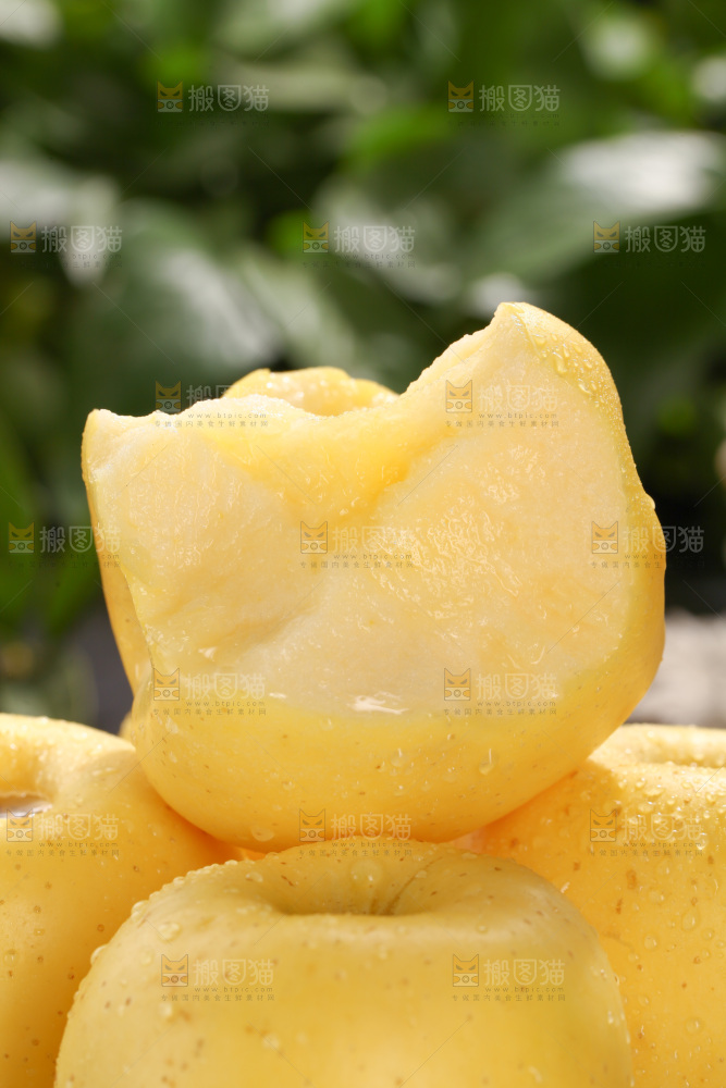 维纳斯苹果
