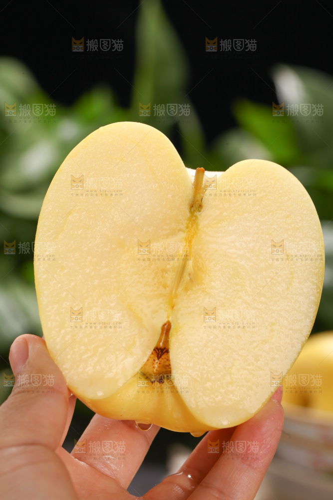 维纳斯苹果