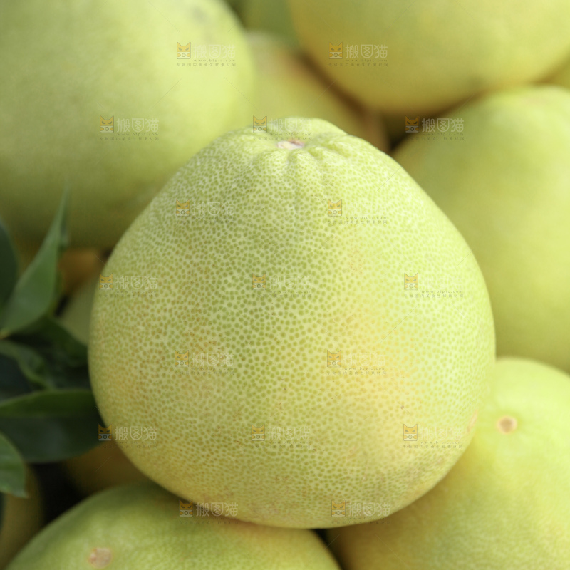 文旦柚