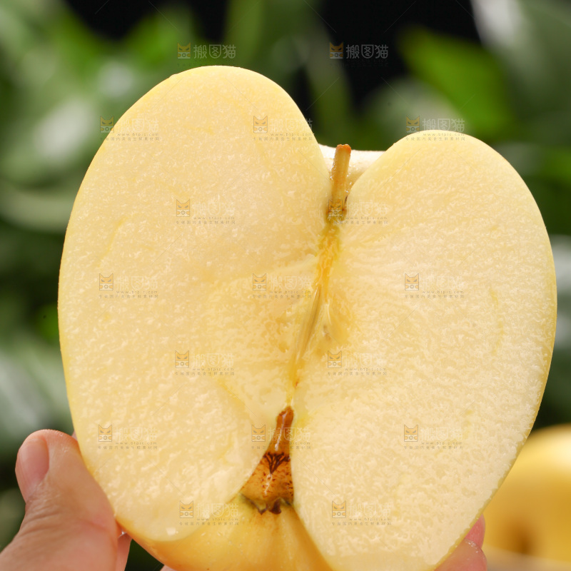 维纳斯苹果