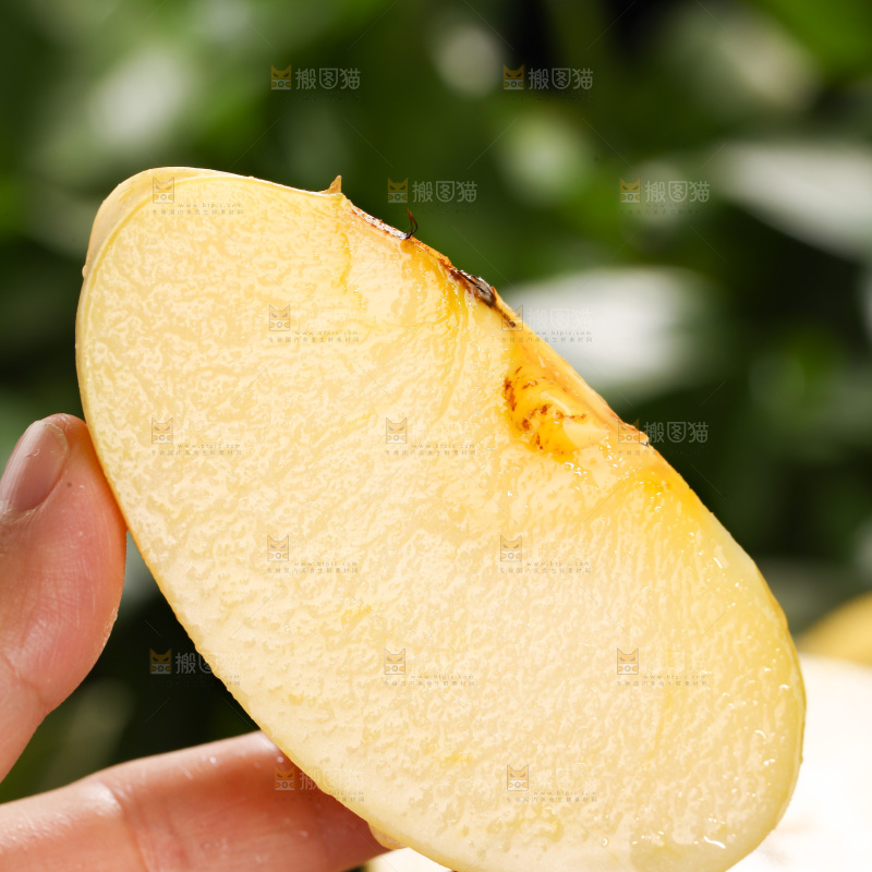 维纳斯苹果