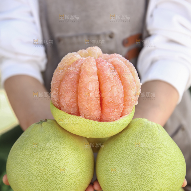文旦柚