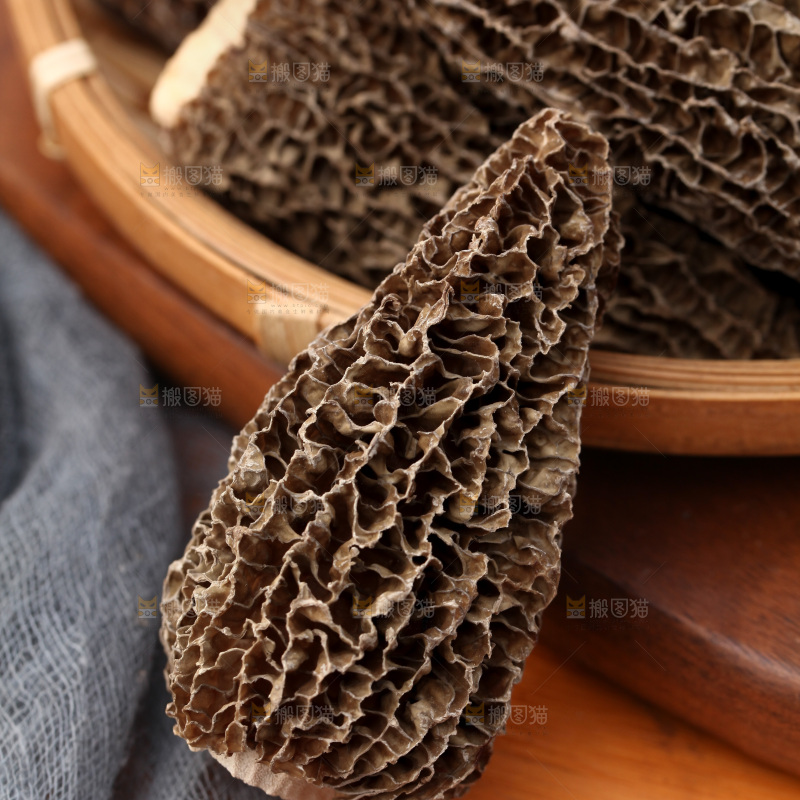 羊肚菌