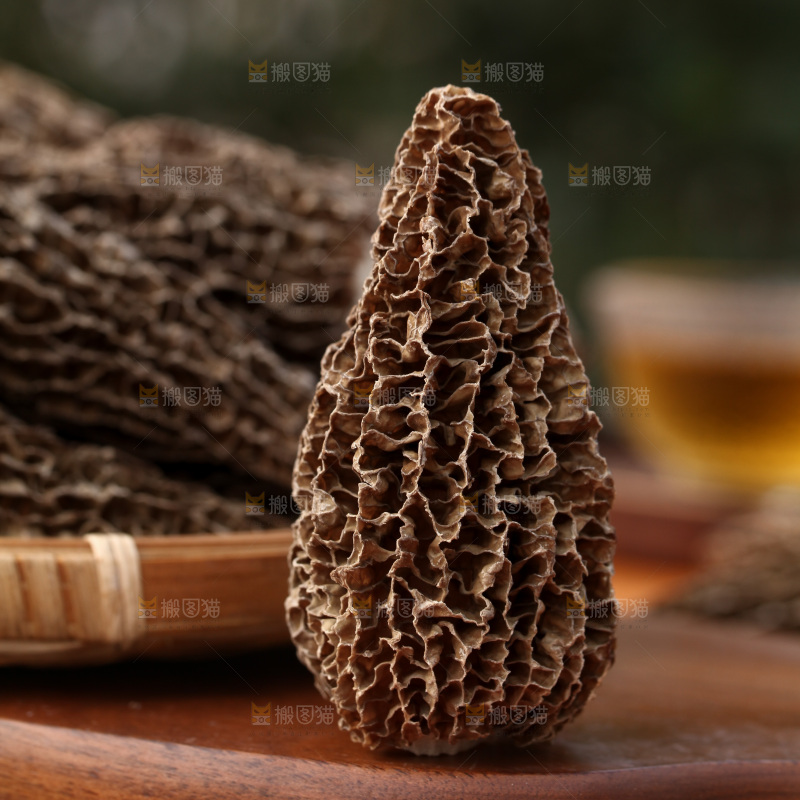 羊肚菌