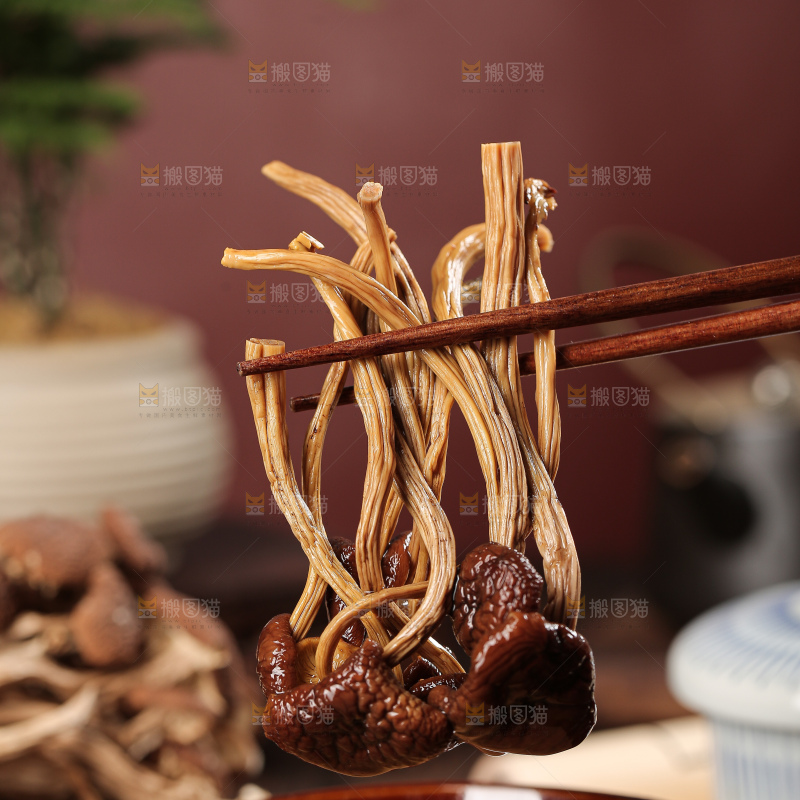 茶树菇