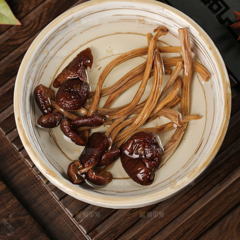 茶树菇