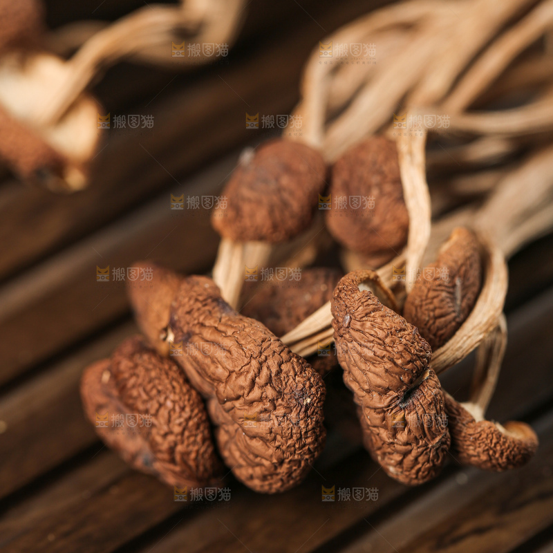 茶树菇