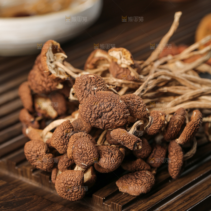 茶树菇