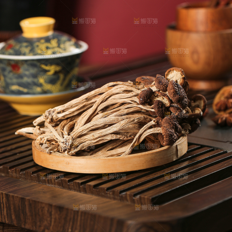 茶树菇