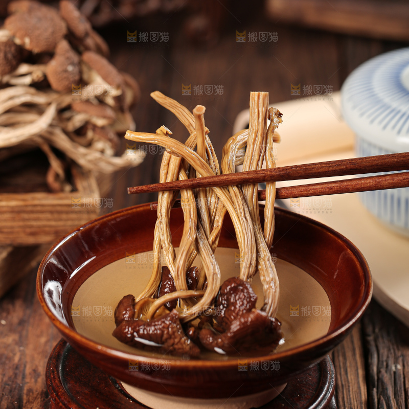 茶树菇