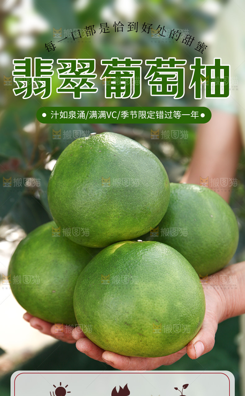 翡翠葡萄柚详情页