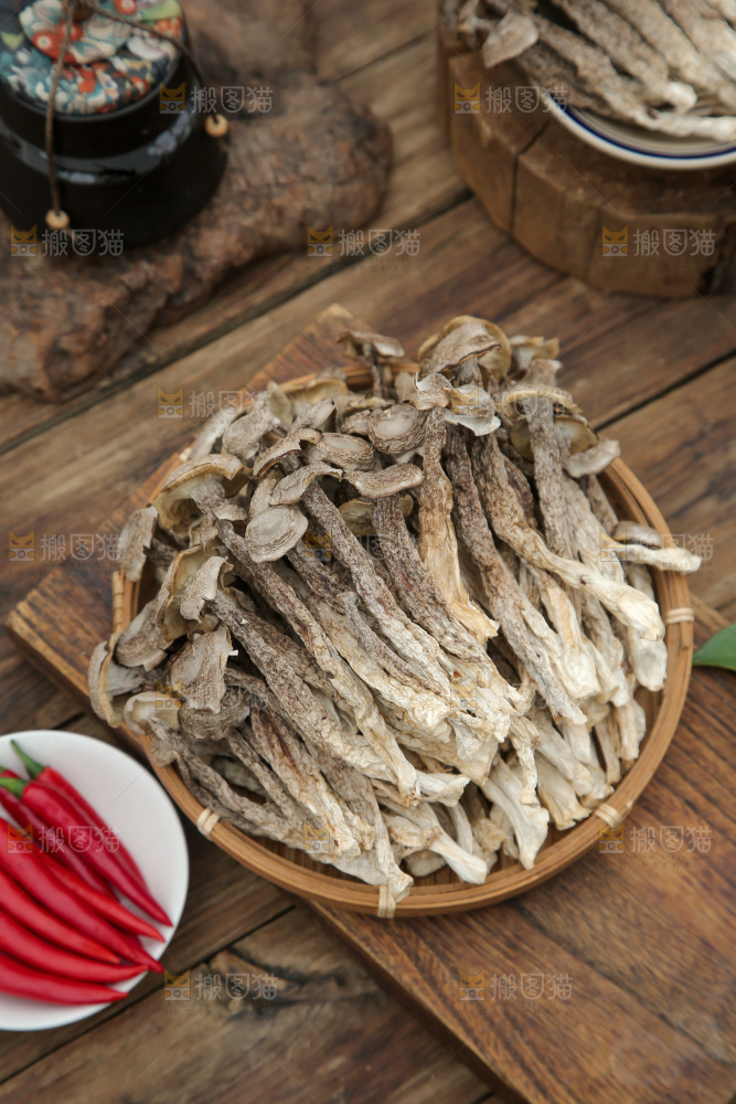 鹿茸菇