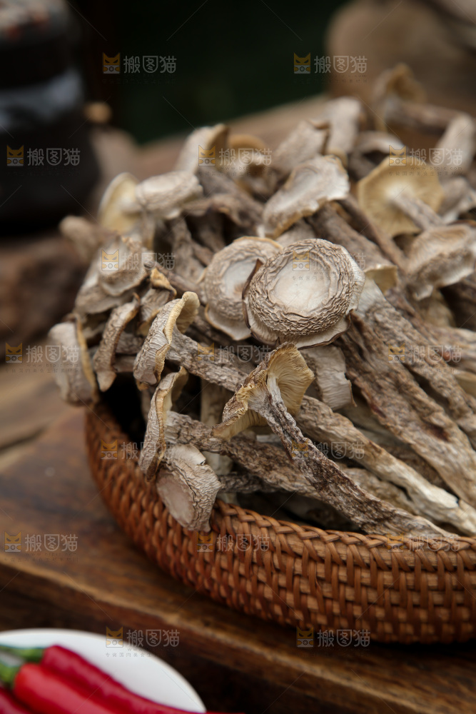 鹿茸菇
