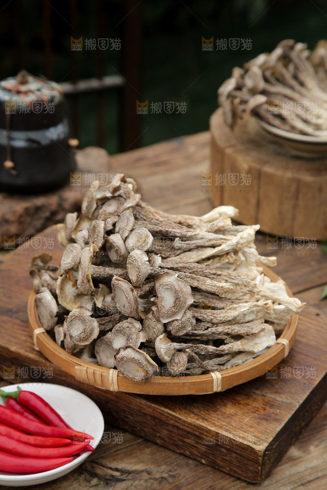 鹿茸菇