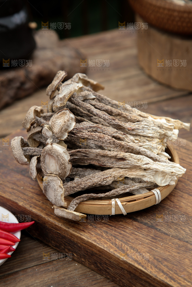 鹿茸菇
