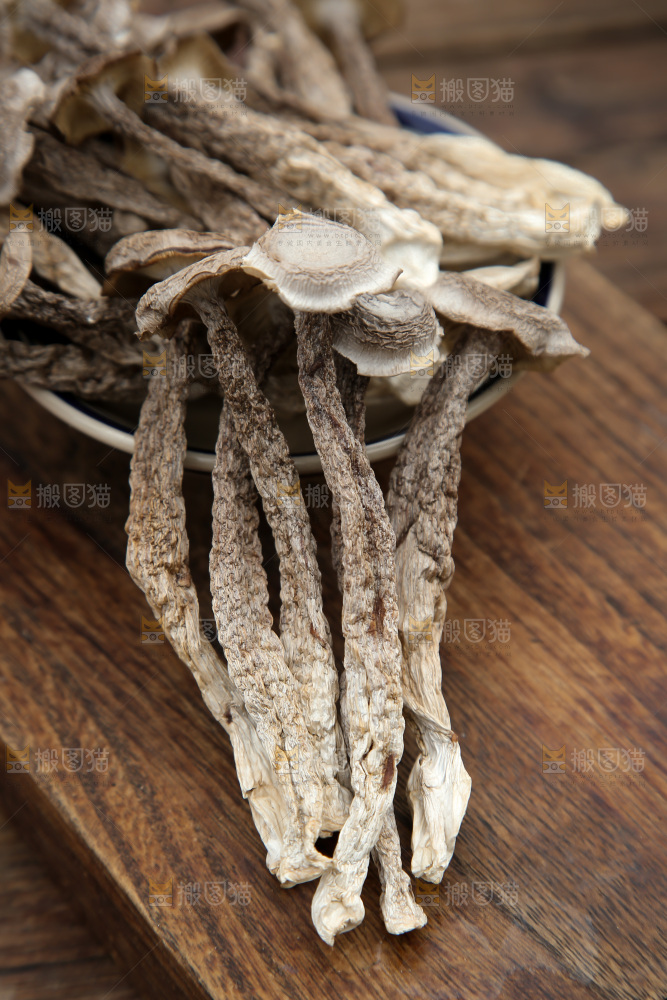 鹿茸菇