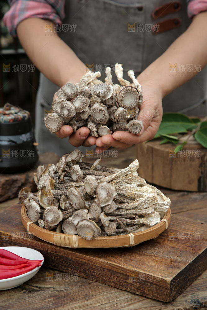 鹿茸菇