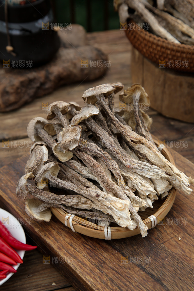 鹿茸菇