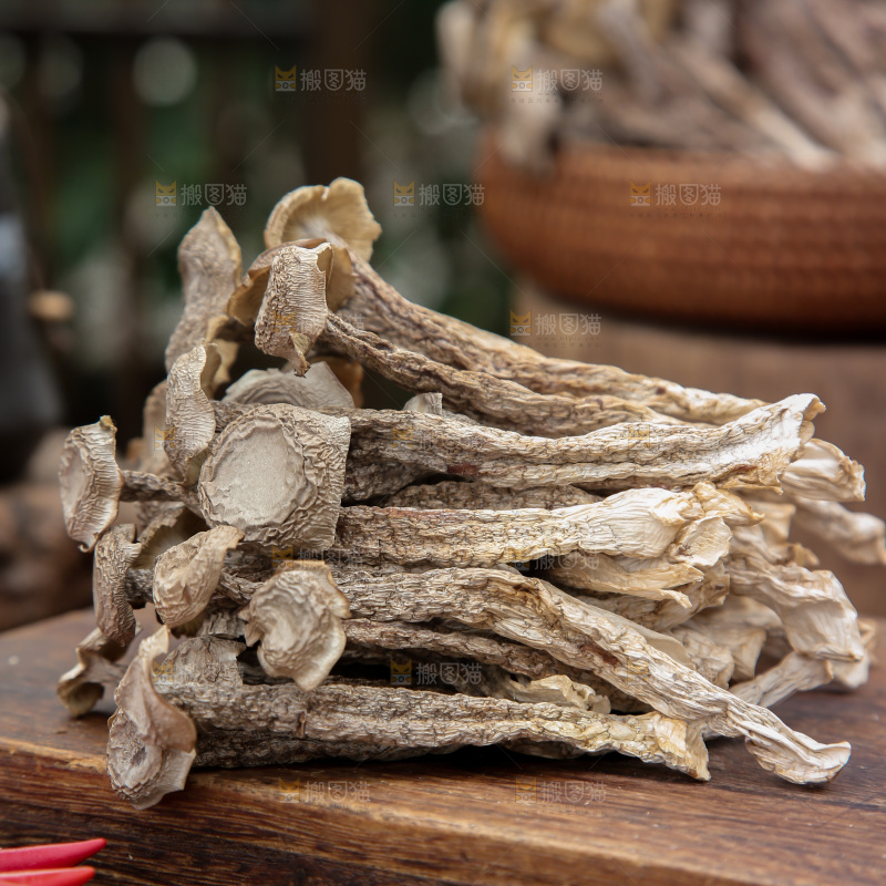 鹿茸菇