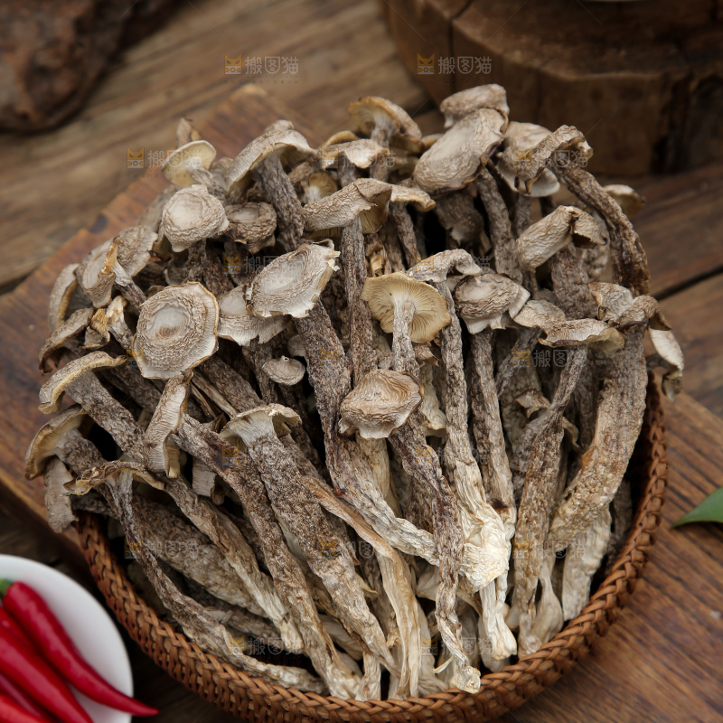 鹿茸菇