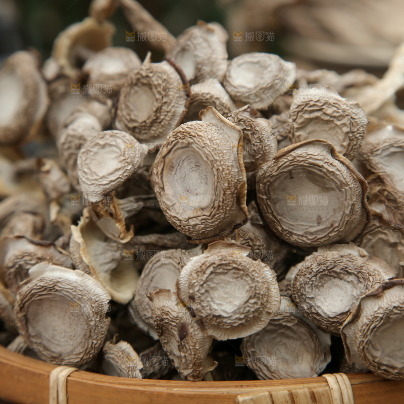 鹿茸菇