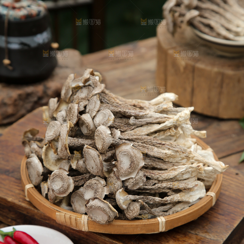 鹿茸菇