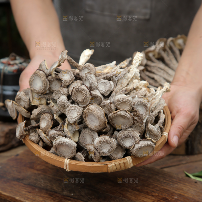 鹿茸菇