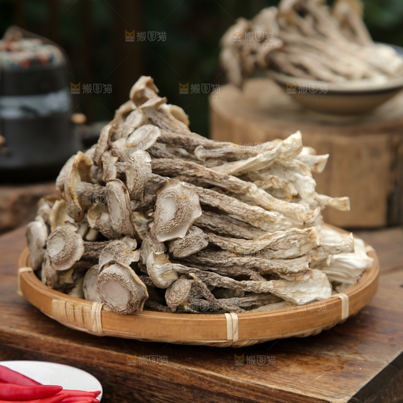 鹿茸菇
