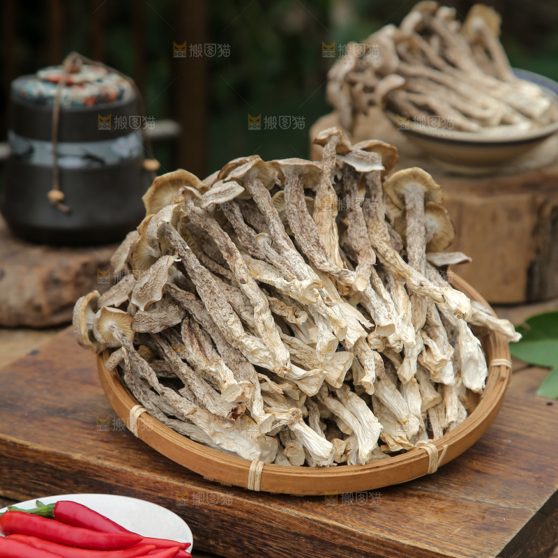鹿茸菇