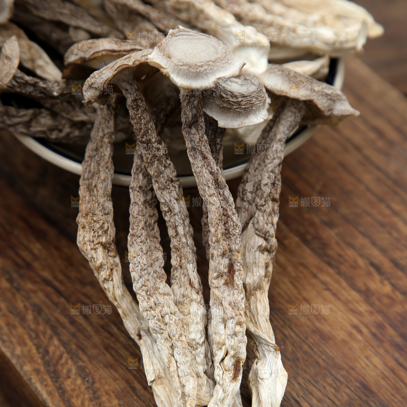 鹿茸菇