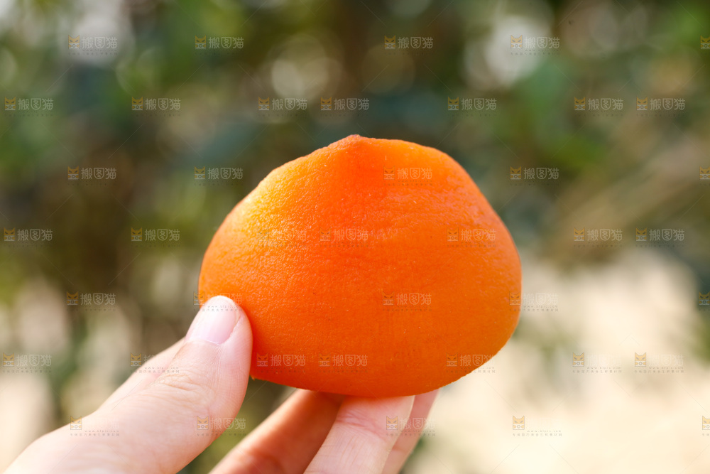 冰柿子