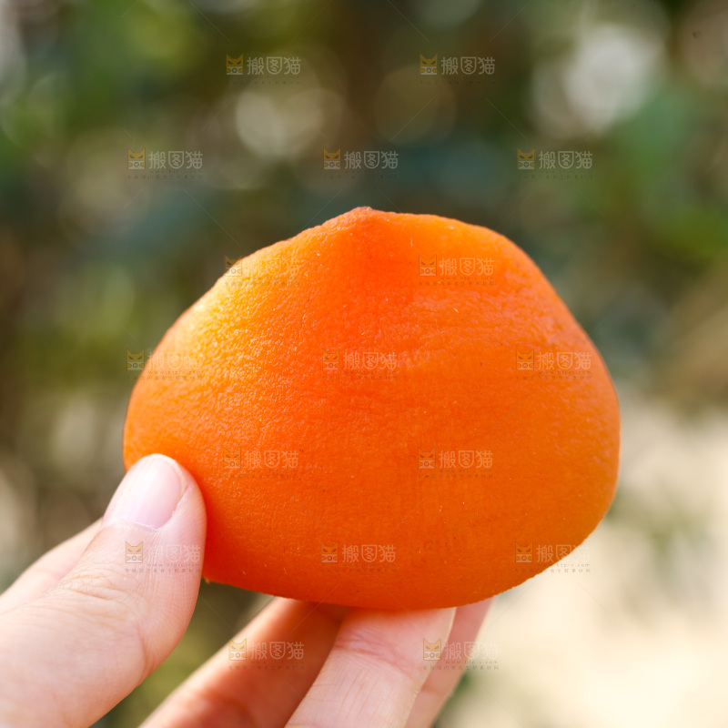 冰柿子
