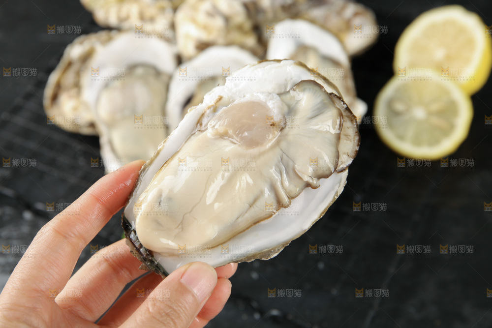 生蚝