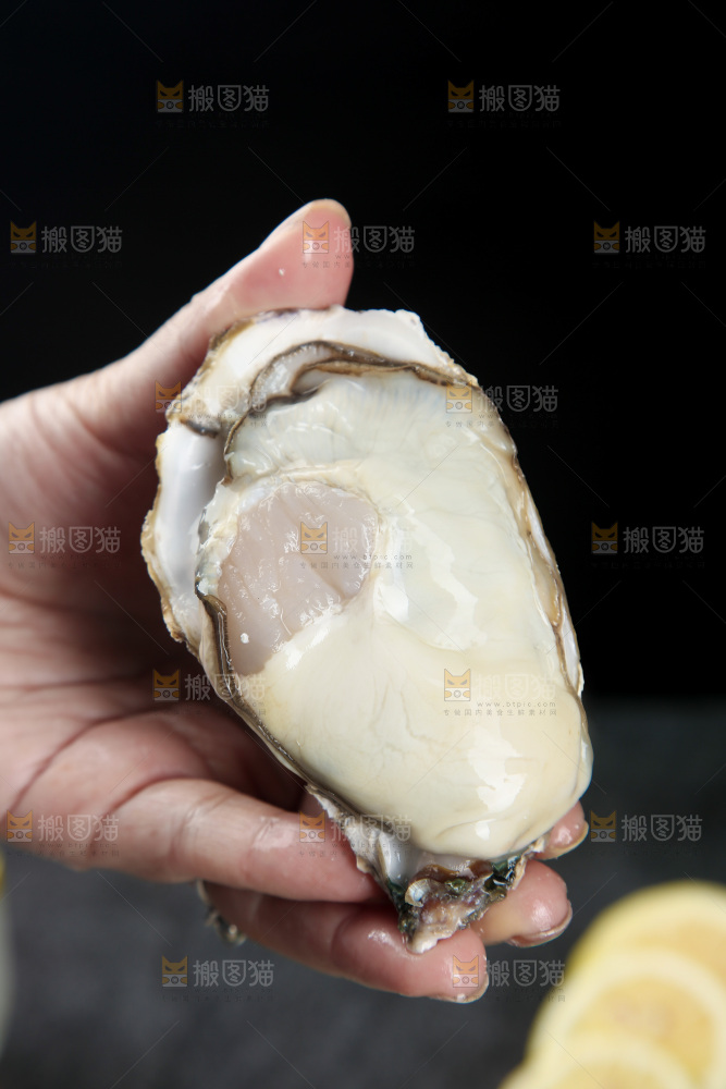 生蚝