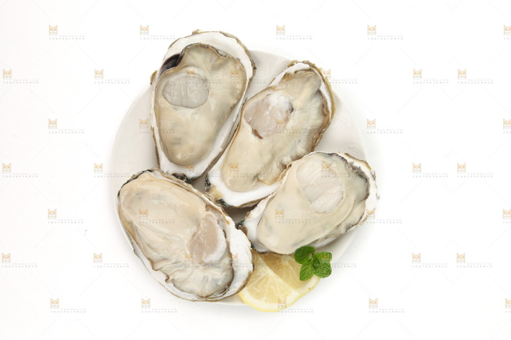 生蚝