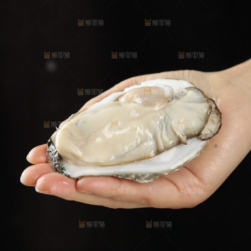 生蚝