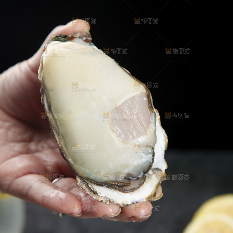 生蚝